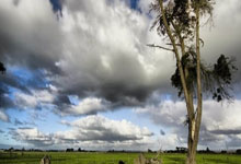 《天涯藏宝地，陵水爽歪歪，这里有你羡慕不来的度假生活！》